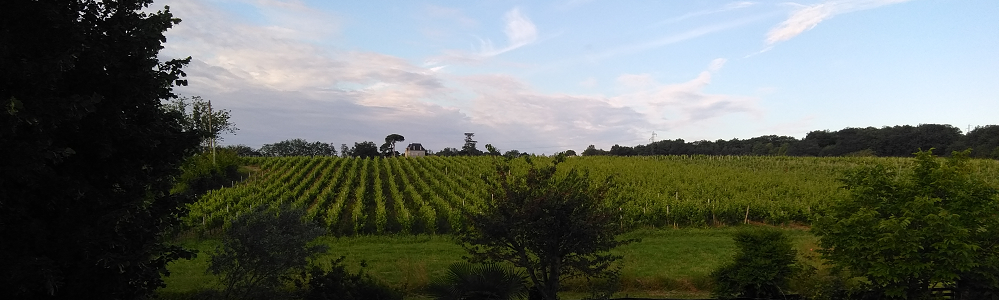 Fronsac et Canon Fronsac au Chateau Franc Capet La parcelle Canon Fronsac